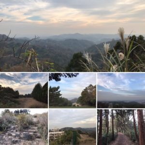 天園ハイキングコース