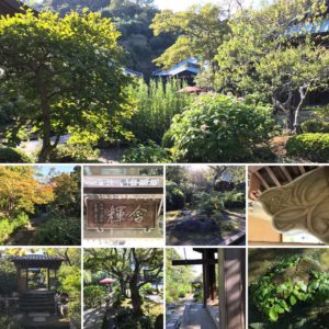 秋の海蔵寺の境内